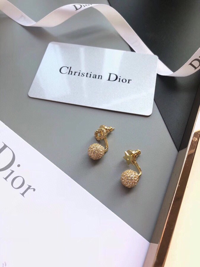 Christian Dior Earrings